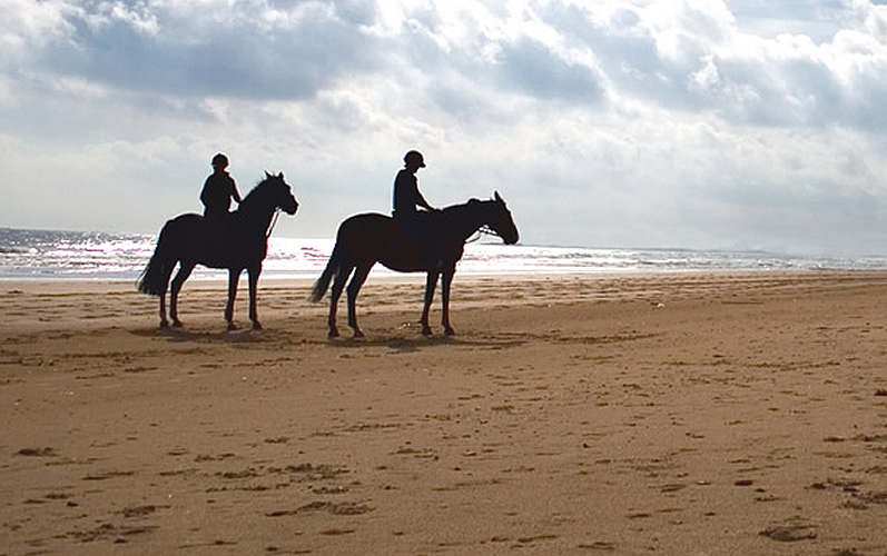 cavalli-sulla-spiaggia